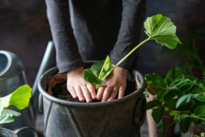 Investir nas crianças, em sua educação, em seu futuro e na prevenção ao uso de drogas é semelhante a plantar uma árvore: um investimento seguro e com retorno garantido.